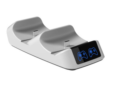 Switch 12F Simple Dual Charger